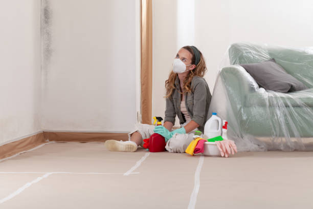 Trusted Black Mold Removal service in Topinabee, MI - WQB Mold Removal